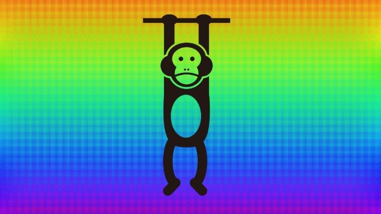 虹色と猿